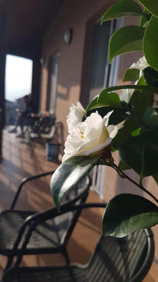Casa Clau Cazare Orşova Exterior foto